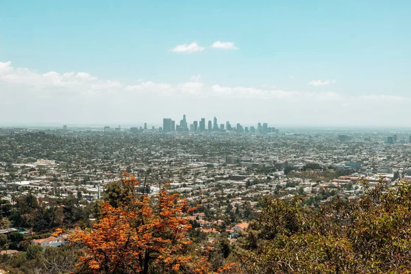 Los Angeles Stany Zjednoczone Maja 2020 Widok Los Angeles Griffith — Zdjęcie stockowe