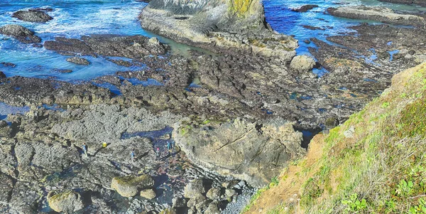 Eine Aufnahme Der Fleckigen Felsen Der Küste Von Oregon Den — Stockfoto