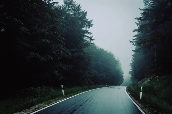 Μια Κυκλοθυμική Φωτογραφία Ενός Άδειου Δρόμου Μέσα Από Ένα Δάσος — Φωτογραφία Αρχείου