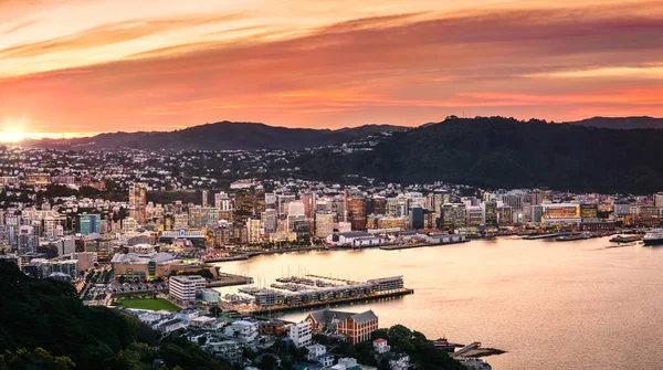 Pôr Sol Espetacular Sobre Edifícios Altos Cidade Wellington Porto Visto — Fotografia de Stock