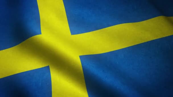 Machająca Flaga Szwecja Zbliżenie — Wideo stockowe