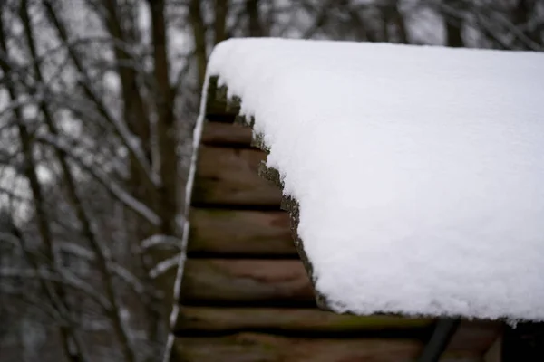 Zbliżenie Ujęcia Pokrytego Śniegiem Drewnianego Dachu Tle Drzewa — Zdjęcie stockowe