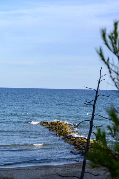Eine Vertikale Aufnahme Des Meeres Und Des Strandes Hinter Dem — Stockfoto