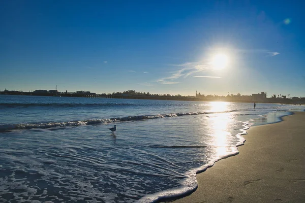 Scenic View Blue Ocean Sunny Day — Stock Photo, Image