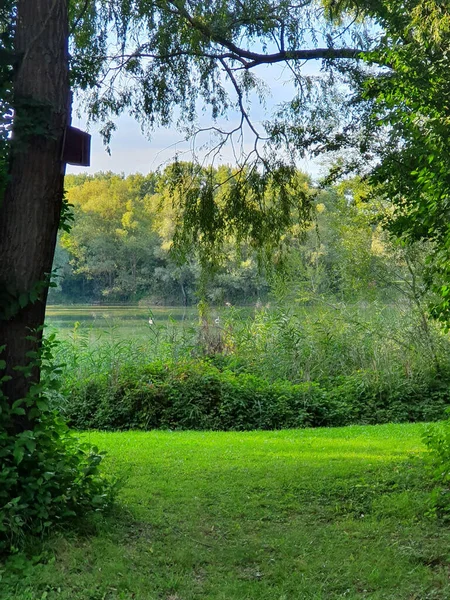 Eine Schöne Grüne Landschaft Einem Ländlichen Feld Vor Einem Berg — Stockfoto