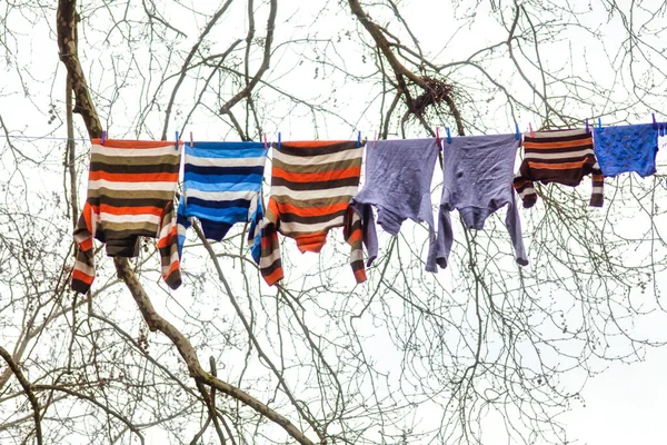 Disparo Ropa Invierno Que Cuelga Cuerda Aire Libre Durante Clima —  Fotos de Stock