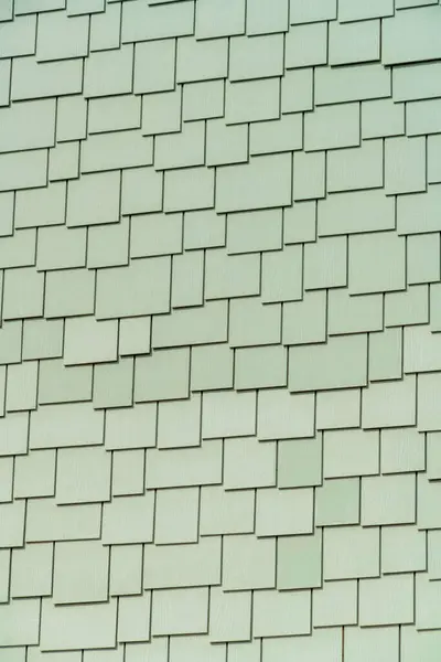 Eine Vertikale Aufnahme Der Grünen Schönen Mauer — Stockfoto
