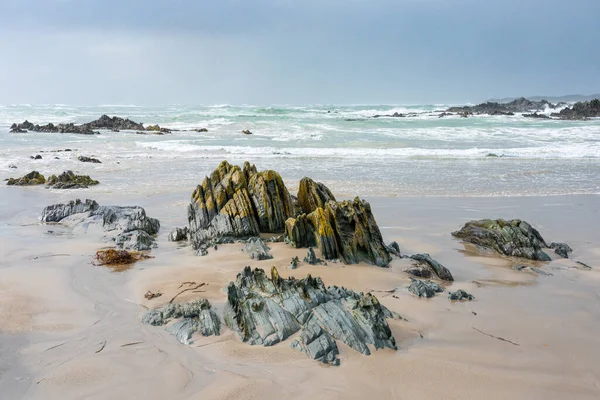 Une Belle Vue Sur Littoral Des Pierres Bois Sur Sable — Photo