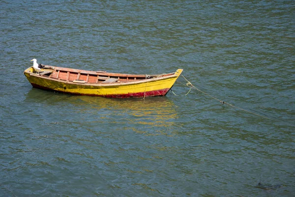 Una Gaviota Barco Pesquero Océano Pacífico Región Los Lagos Sur — Foto de Stock