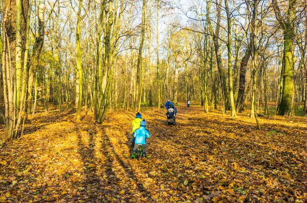 Poznan Polónia Novembro 2018 Pessoas Caminho Entre Árvores Altas Floresta — Fotografia de Stock