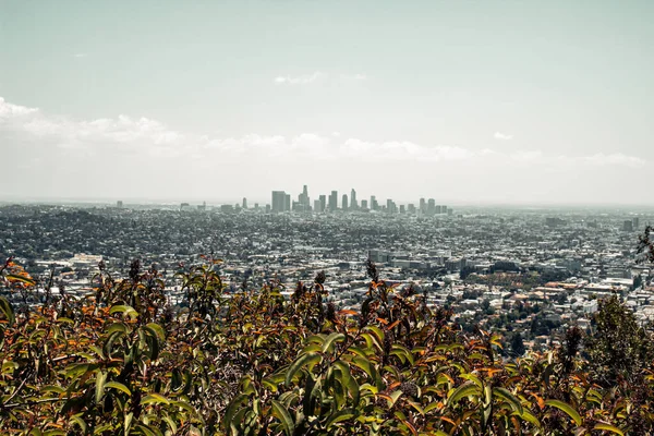 Los Angeles United States May 2020 View Los Angeles Griffith — Stock Photo, Image