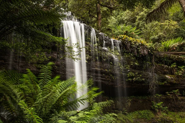 Russell Falls Μεγάλη Έκθεση Που Περιβάλλεται Από Πράσινο Στην Τασμανία — Φωτογραφία Αρχείου