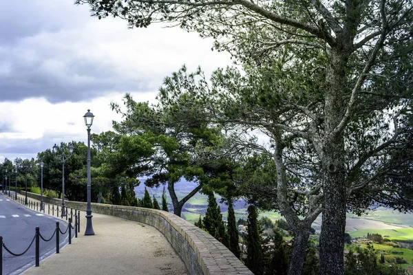 Een Heldere Zomerdag Met Weelderig Groen Rondom Een Trottoir Met — Stockfoto