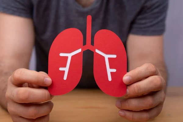 Shallow Focus Man Holding Lung Anatomy Paper Cut Check — Stock Photo, Image