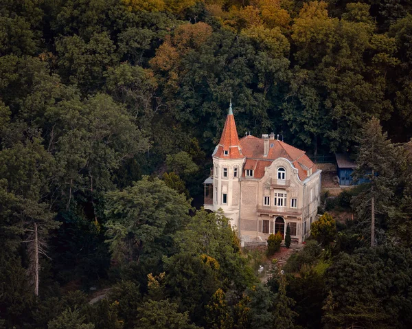 Uma Vista Panorâmica Castelo Uma Floresta — Fotografia de Stock