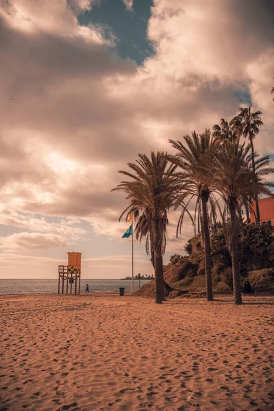 Tiro Vertical Uma Praia Com Palmeiras Málaga Benalmadena Espanha — Fotografia de Stock