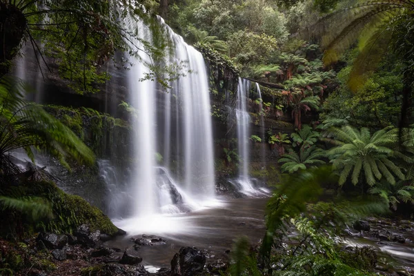 Водоспад Рассел Оточений Зеленню Тасманії Австралія — стокове фото