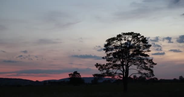 Belo Pôr Sol Montanha — Vídeo de Stock