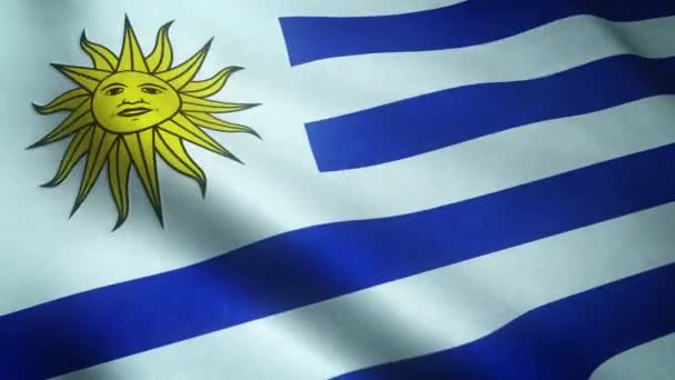 Agitant Drapeau Uruguay Gros Plan — Video