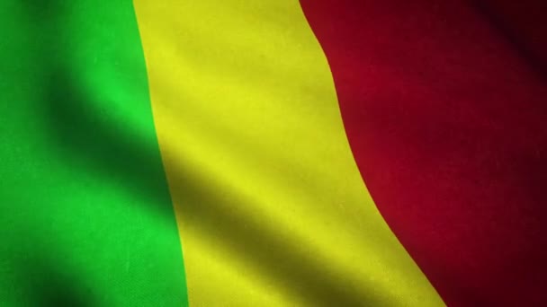 Agitant Drapeau Mali Près — Video