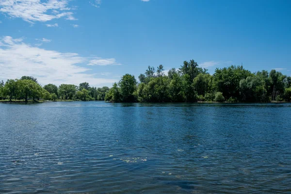 Панорамний Знімок Лісу Біля Озера Під Яскравим Панорамою — стокове фото