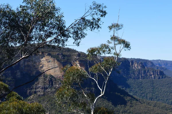 Una Vista Las Montañas Azules Desde Escalera Dorada Katoomba Australia — Foto de Stock