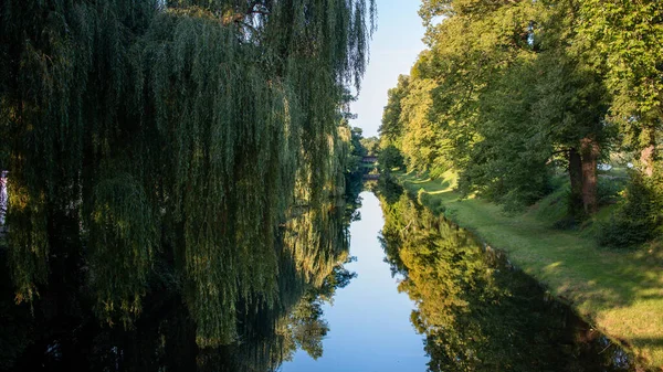 Річка Луари Оточена Зеленню Деревами Роанні Франція — стокове фото