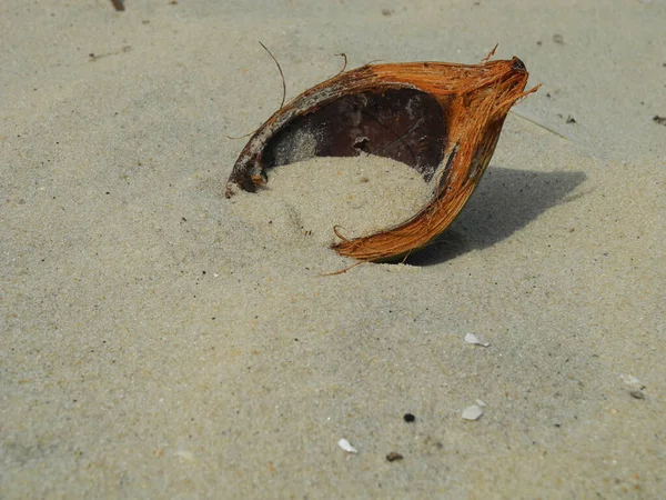 Detailní Záběr Zlomeného Kokosu Písku — Stock fotografie