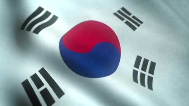 Güney Kore Bayrağını Sallamak Için Gerçekçi Bir Çekim — Stok video