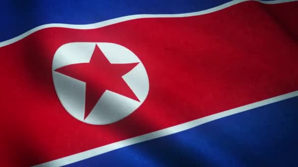 北朝鮮の旗を振る現実的なショット — ストック動画