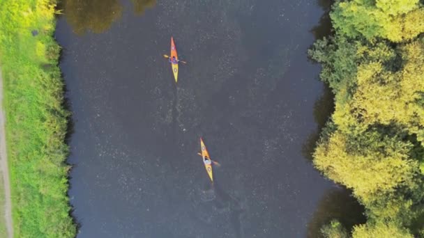 Luchtbeelden Van Toeristen Kano Die Het Meer Drijven — Stockvideo