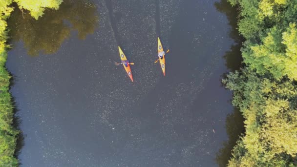 Letecké Záběry Turistů Kánoích Plovoucích Jezeře — Stock video