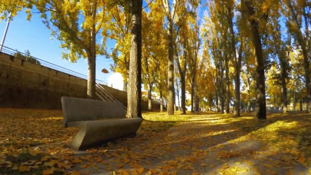 Herbstlandschaft Mit Bäumen Und Bänken — Stockvideo