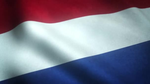 Reális Lövés Lengő Zászló Hollandia — Stock videók