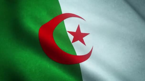 Realistický Snímek Vlající Vlajky Alžírska — Stock video