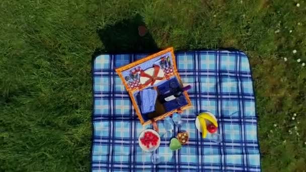 Picnic Parque — Vídeo de stock