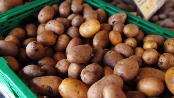 Verse Biologische Aardappelen Markt — Stockvideo