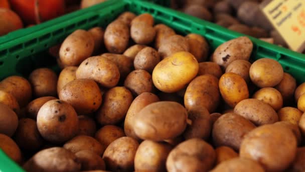 Frische Kartoffeln Auf Dem Markt — Stockvideo
