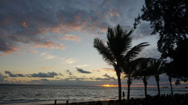 Hermoso Plano Una Playa Con Palmeras — Foto de Stock