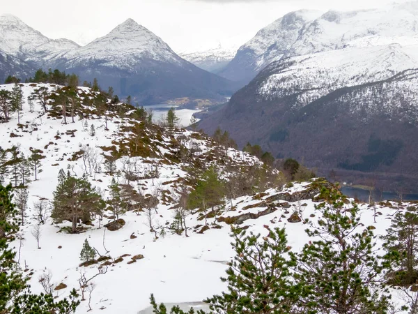 Χειμερινό Τοπίο Χιονισμένα Βουνά Στο Παρασκήνιο Volda Νορβηγία — Φωτογραφία Αρχείου