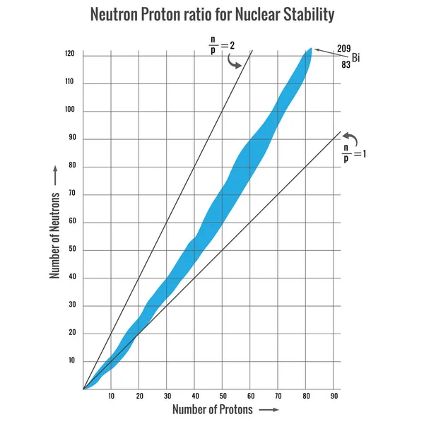 Neutron Protonarány Nukleáris Stabilitás Reakcióképesség Érdekében — Stock Fotó