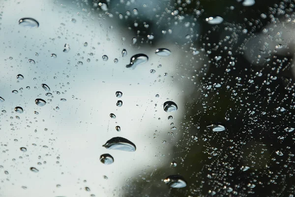 ガラス表面上の雨滴の選択的な焦点 — ストック写真
