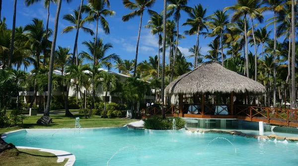 Beautiful Shot Pool Palm Trees — Stock Photo, Image