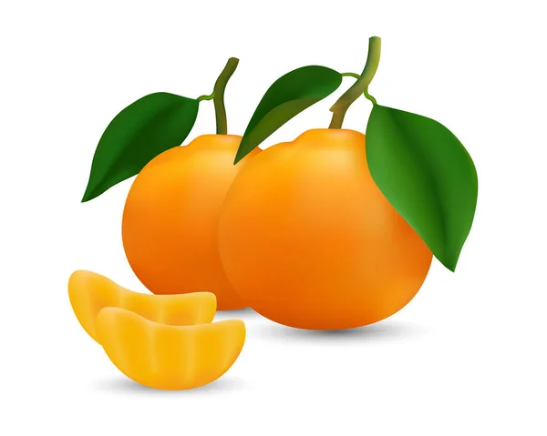 橙色水果的真实感矢量图像 白色背景的新鲜橙子 — 图库照片