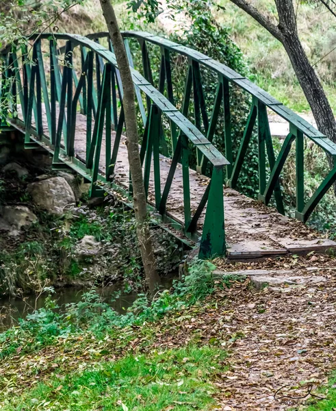森林中间有金属绿色栅栏的木桥的垂直截图 — 图库照片