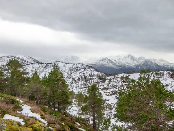 Paisaje Invernal Con Montañas Nevadas Fondo Volda Noruega — Foto de Stock