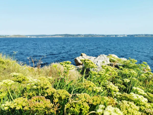 Una Hermosa Foto Mar Bajo Cielo Despejado Coruna España —  Fotos de Stock