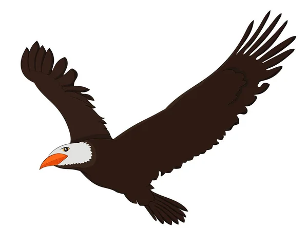 Uma Imagem Vetorial Desenhada Mão Pássaro Águia Voador Fundo Branco — Fotografia de Stock