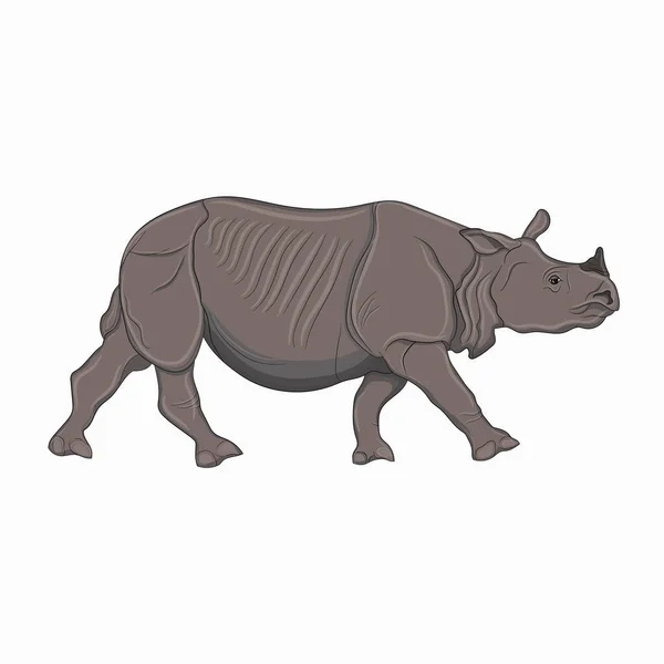 Szczegółowa Ilustracja Dorosłego Nosorożca Jednorogi Indyjski Nosorożec — Zdjęcie stockowe