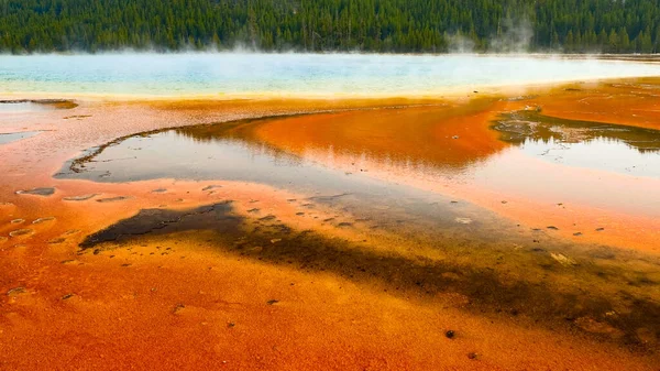 Táj Meleg Források Növényzet Yellowstone Nemzeti Park Wyoming Usa — Stock Fotó